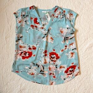 Fun 2 Fun Floral V-Neck Blouse - Light Blue and Red
